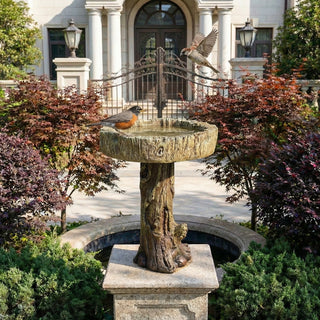 24.4" H Wood-Look Concrete Bird Bath with Decorative Bird Accent
