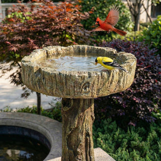 24.4" H Wood-Look Concrete Bird Bath with Decorative Bird Accent
