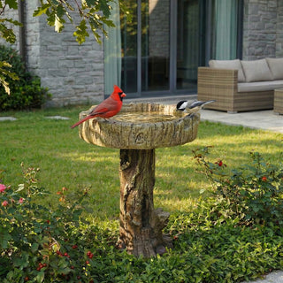 24.4" H Wood-Look Concrete Bird Bath with Decorative Bird Accent