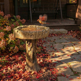 24.4" H Wood-Look Concrete Bird Bath with Decorative Bird Accent