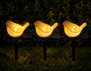 Solar Bird Stake