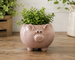Ceramic Pig Planter with Drainage Hole