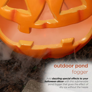 The Fogger ( 1 Jet Fogger with Transformer )