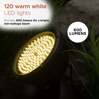 Light and Transformer w/120 Warm White LED lights - 12 watts