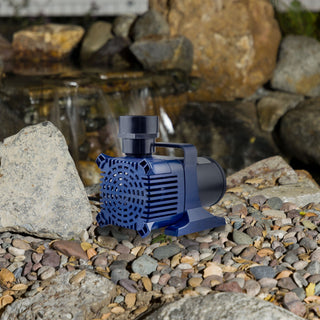Cyclone Pump 10300 GPH / 33FT Cord