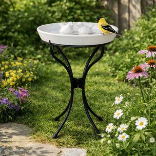 White Ceramic Birdbath with Metal Stand