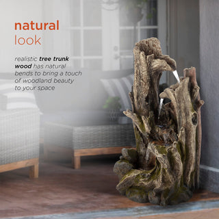 Tiered Rainforest Tree Trunk Fountain