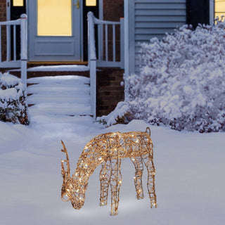 Grazing Rattan Reindeer with 60 Warm White LED Lights