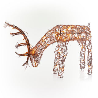 Grazing Rattan Reindeer with 60 Warm White LED Lights