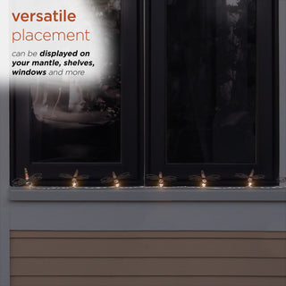 10pc Dragonfly String Lights w/Warm White LED Lights