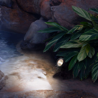 50-Watt Light w/Transformer for Use in Water Only