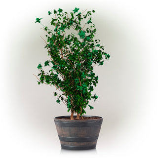 Bronze Round Barrel Planter with Drainage Hole - Small