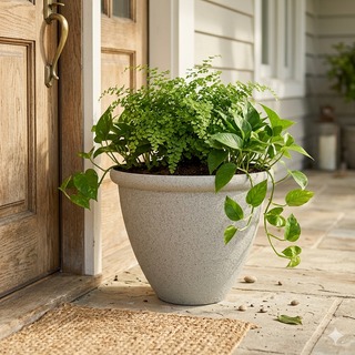 10" Beige Round Planter with Drainage Hole-Small