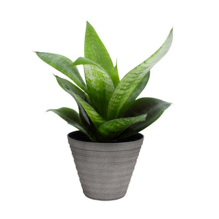 12" White Stone Finish Fluted Round Planter w/ Drainage Hole